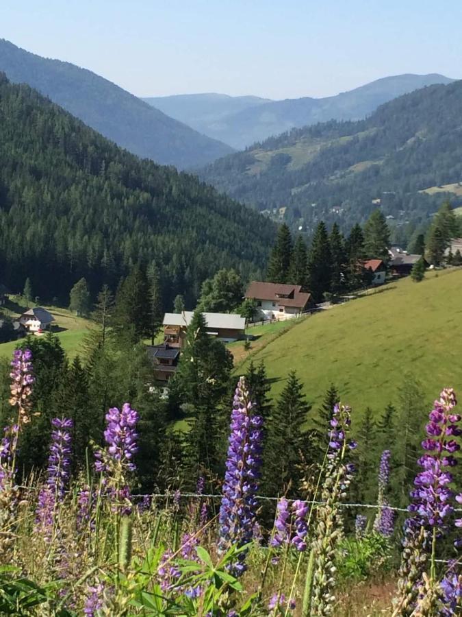 Haus Klinsterwald Sankt Oswald (Carinthia) Luaran gambar